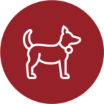 hershewe icons pi animals